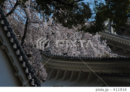 桜舞う　姫路城 411916