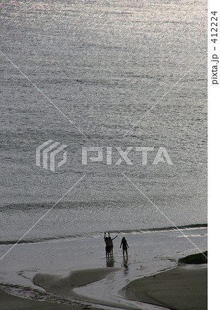朝の海 朝の海 412224