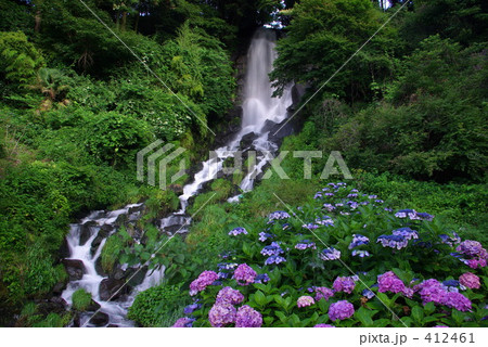 朝日滝とアジサイ 412461