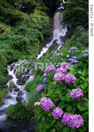 朝日滝と紫陽花 朝日滝と紫陽花 412463