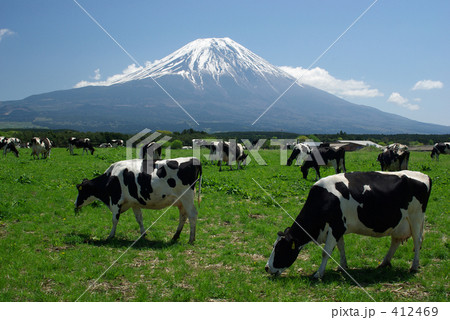 富士山と牛 412469
