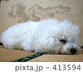 お昼寝ガム 413594