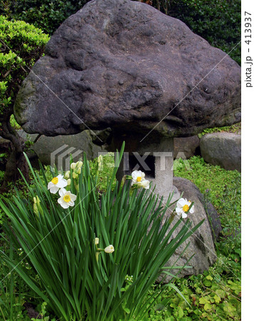 ニッポンズイセン 413937