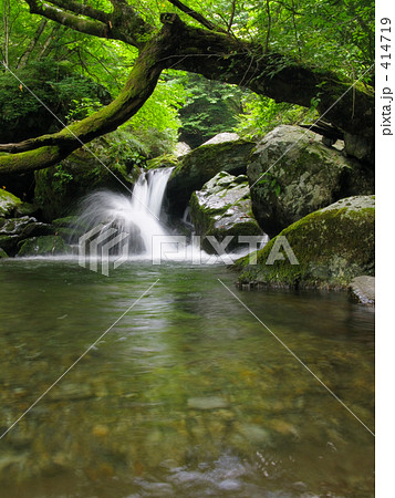 ここには、いる 414719