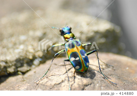 道教え 道教え 414880