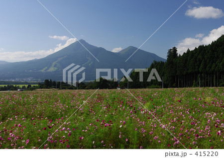 磐梯山とコスモス 415220