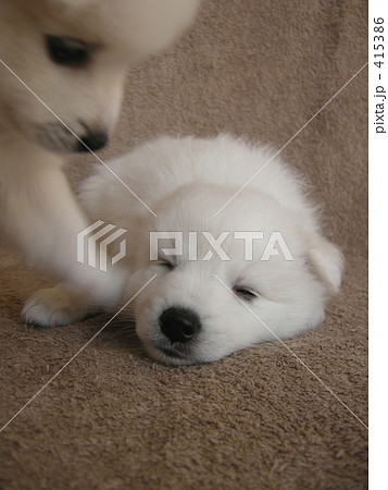 ねぇ、起きて。 415386