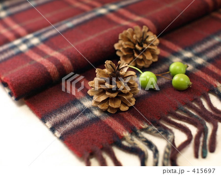 マフラーとまつぼっくり マフラーとまつぼっくり 415697