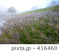 秋 416460