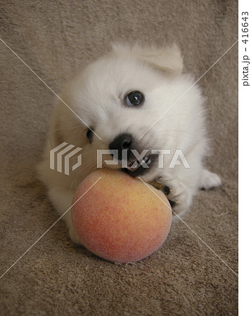 桃、おいしい。 416643