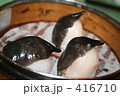 美味しいペンギン 416710