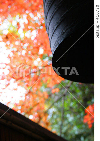 紅葉 416730