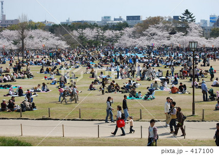 花見客 417100