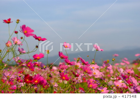 光 秋色 光 秋色 417548