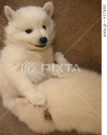 ニヤリッ。 417890