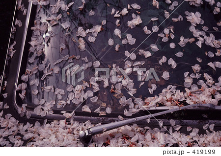 フロントガラス 419199