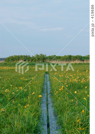 自然へと続く 419686