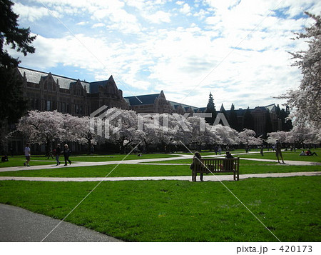 ワシントン大学 ワシントン大学 420173