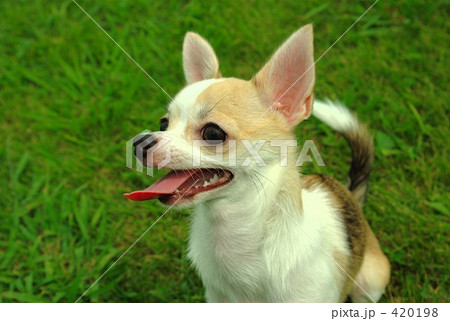 ちょっと休憩 ちょっと休憩 420198