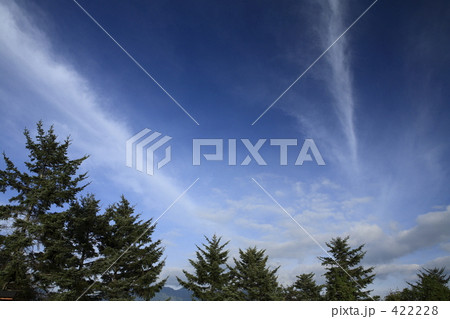 飛行機雲 飛行機雲 422228