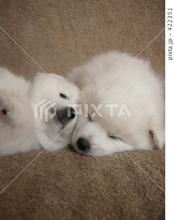 まったりと・・ 422351