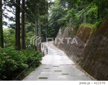 山道 山道 422570