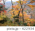 紅葉と渓谷：寒霞渓・小豆島 422934