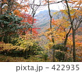 紅葉と黄葉と山：寒霞渓・小豆島 422935