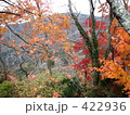 紅葉と渓谷：寒霞渓・小豆島 422936