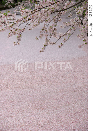 お堀の花びら-2 423179