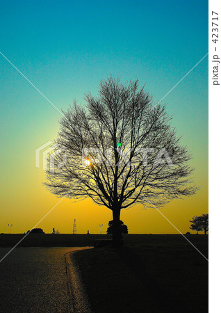 鮮やかな夕暮れ 鮮やかな夕暮れ 423717
