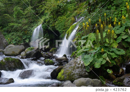 杜竜の滝２ 423762