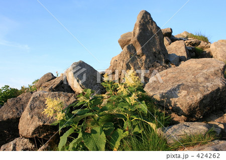 さわやかな夏山の朝 424262
