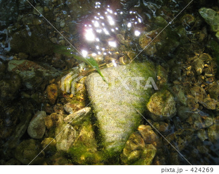 きらきらの清流 きらきらの清流 424269