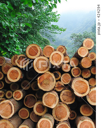 山の出荷場 424294