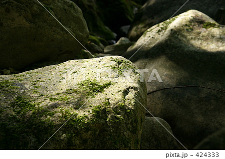 苔のむす石 苔のむす石 424333