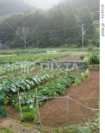 畑のある風景 畑のある風景 424419