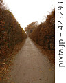 秋の道 425293