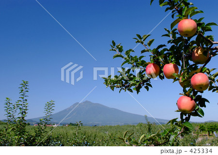 岩木山と赤いリンゴ 425334