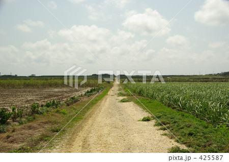 空へとつづく道 425587