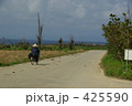 いつもの道 425590