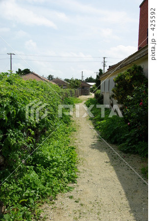 路地裏 425592