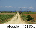 道 425601