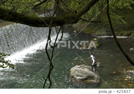 渓流釣り 渓流釣り 425837