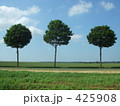木と空と畑 425908
