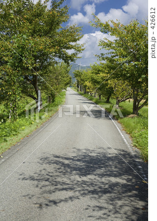 秋の道 426612