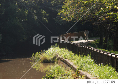 見沼田圃・秋 見沼田圃・秋 427169
