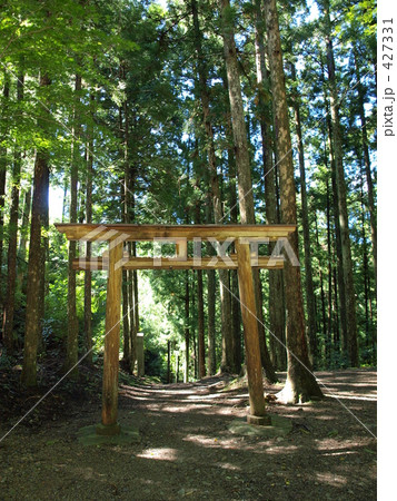 鳥居に差す木漏れ日 鳥居に差す木漏れ日 427331