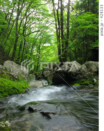 源流下る 428133