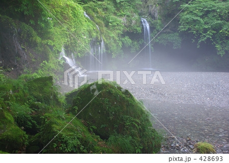 朝靄の陣馬の滝 428693